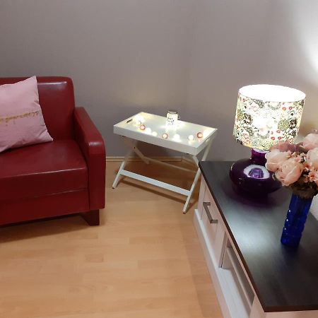 Schoene Und Ruhige Ferienwohnung In Ottendorf Sebnitz Ngoại thất bức ảnh
