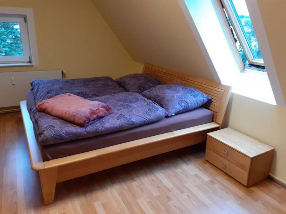 Schoene Und Ruhige Ferienwohnung In Ottendorf Sebnitz Ngoại thất bức ảnh