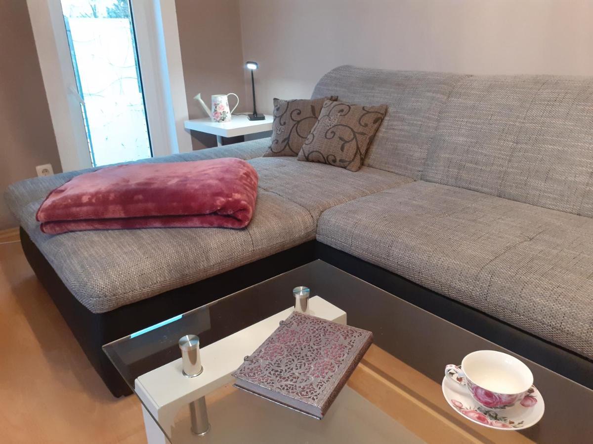 Schoene Und Ruhige Ferienwohnung In Ottendorf Sebnitz Ngoại thất bức ảnh